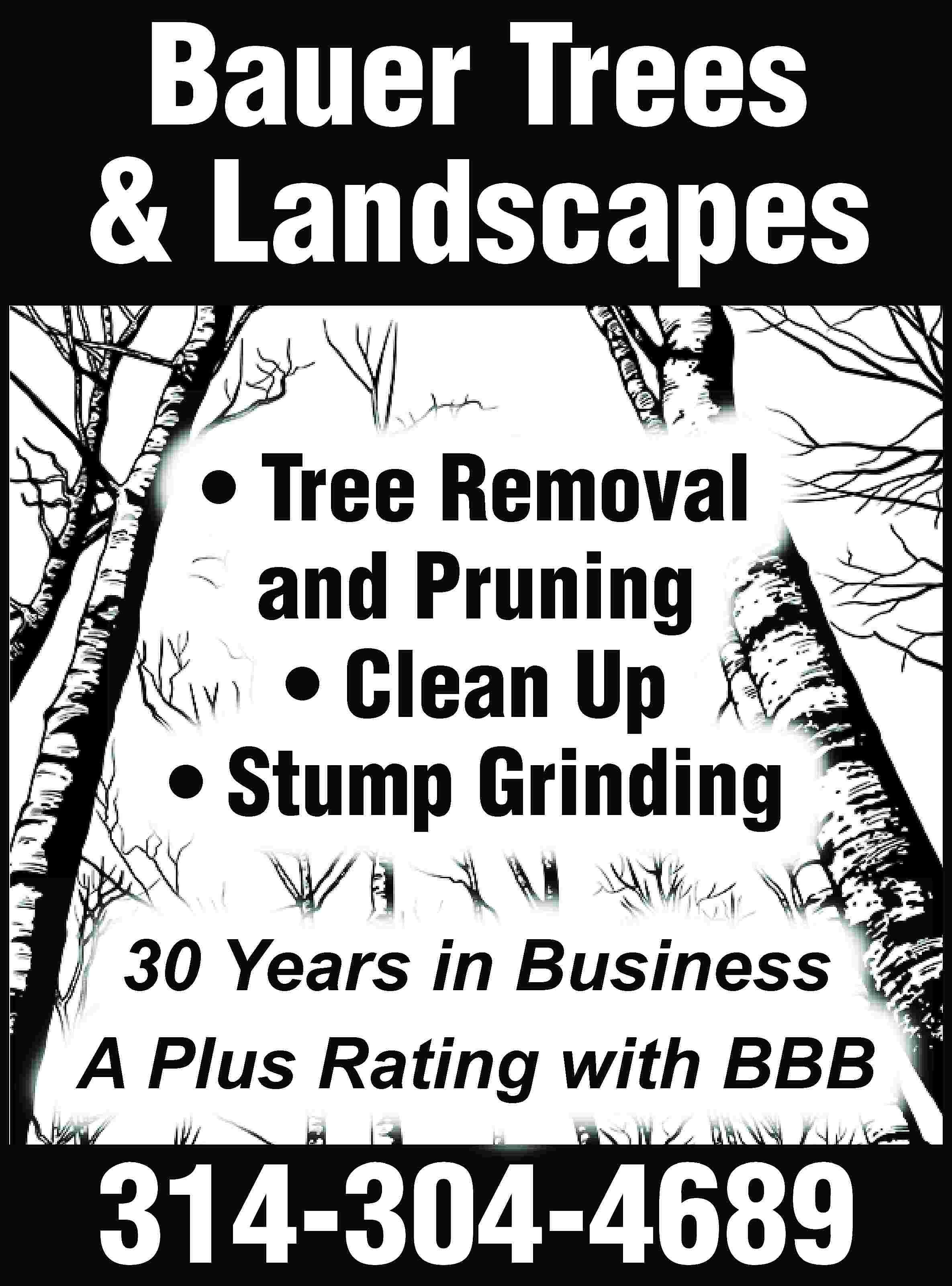 Bauer Trees & Landscapes •  Bauer Trees & Landscapes • Tree Removal and Pruning • Clean Up • Stump Grinding 30 Years in Business A Plus Rating with BBB 314-304-4689