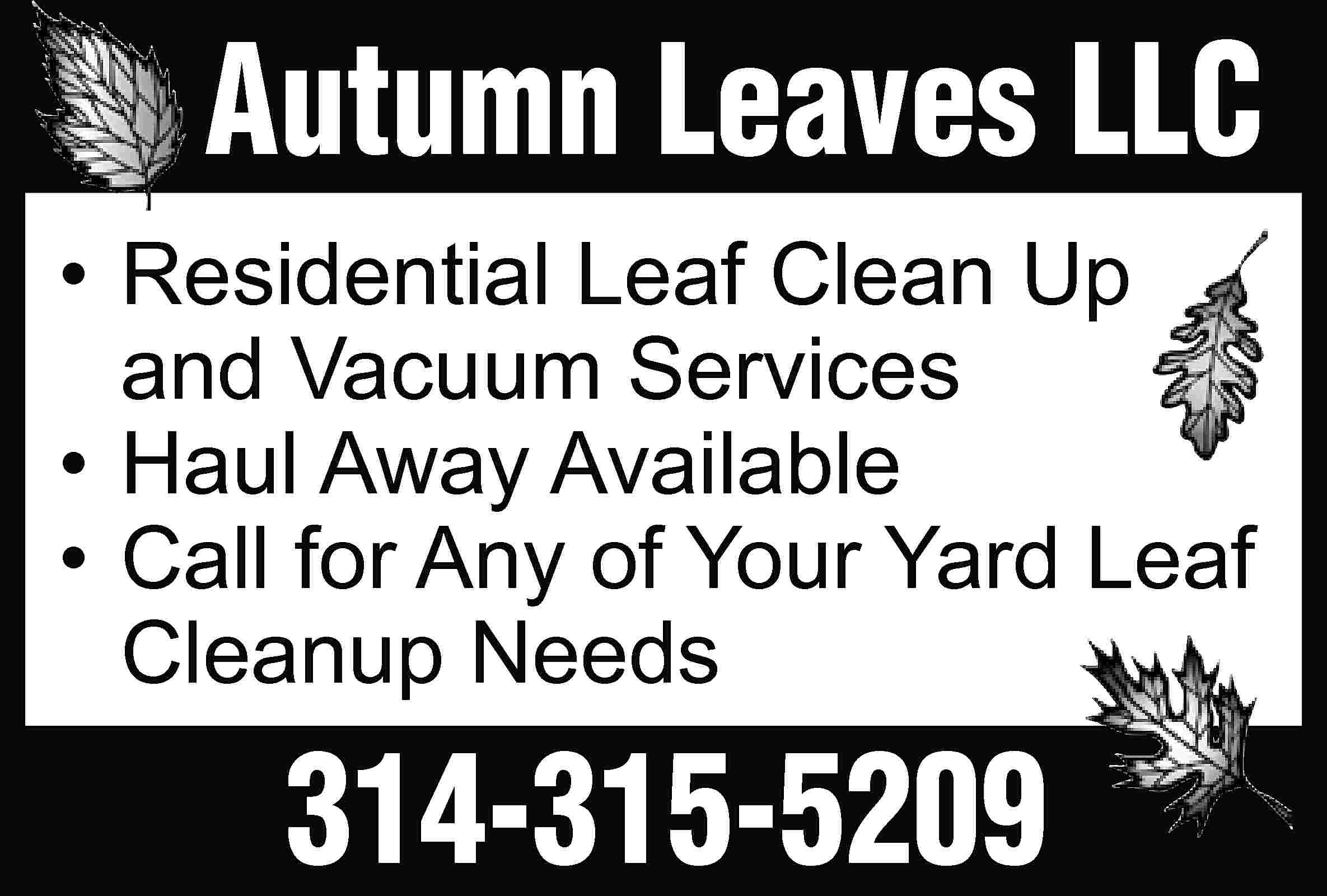 Autumn Leaves LLC •	Residential Leaf  Autumn Leaves LLC •	Residential Leaf Clean Up 	 and Vacuum Services •	 Haul Away Available •	Call for Any of Your Yard Leaf 	 Cleanup Needs 314-315-5209