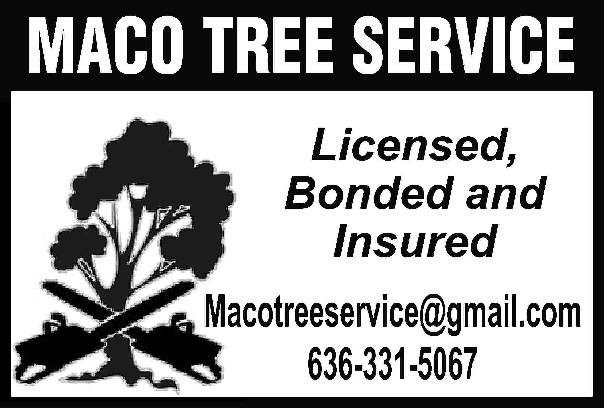 MACO TREE SERVICE Licensed, Bonded  MACO TREE SERVICE Licensed, Bonded and Insured Macotreeservice@gmail.com 636-331-5067